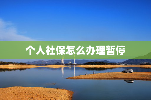 个人社保怎么办理暂停