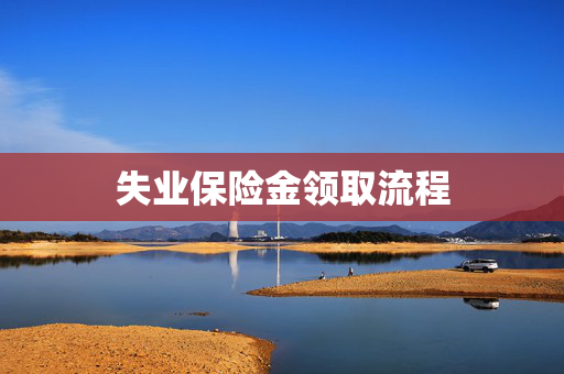 失业保险金领取流程