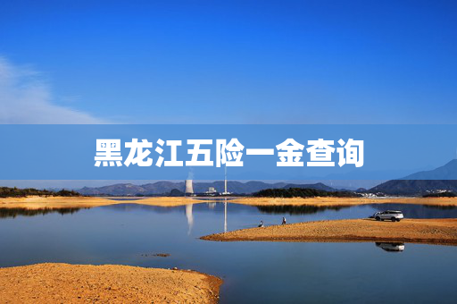 黑龙江五险一金查询