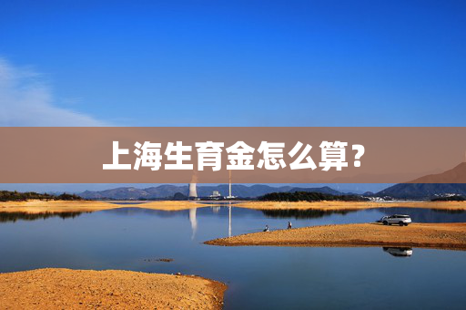 上海生育金怎么算？
