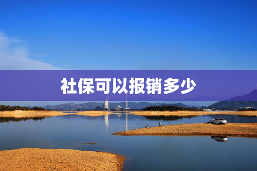 社保可以报销多少