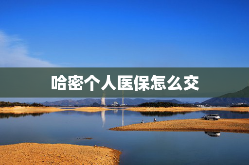 哈密个人医保怎么交