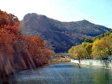 阿坝州医保报销范围是什么